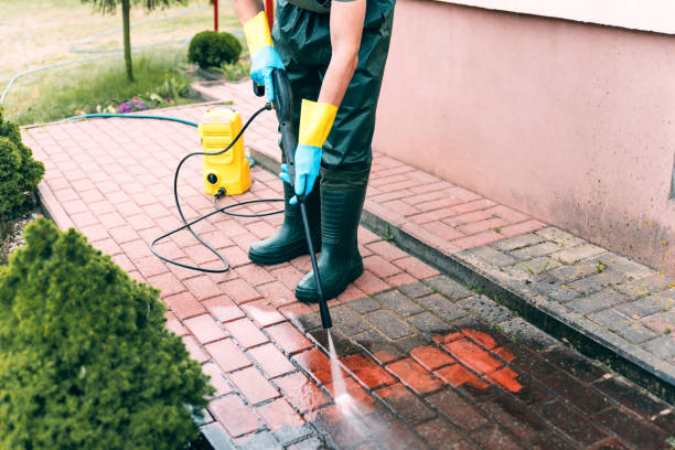 Best Local Pressure Washing Services  in Roseland, NJ